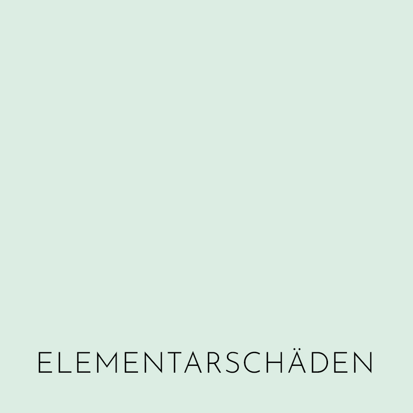 Elementarschäden