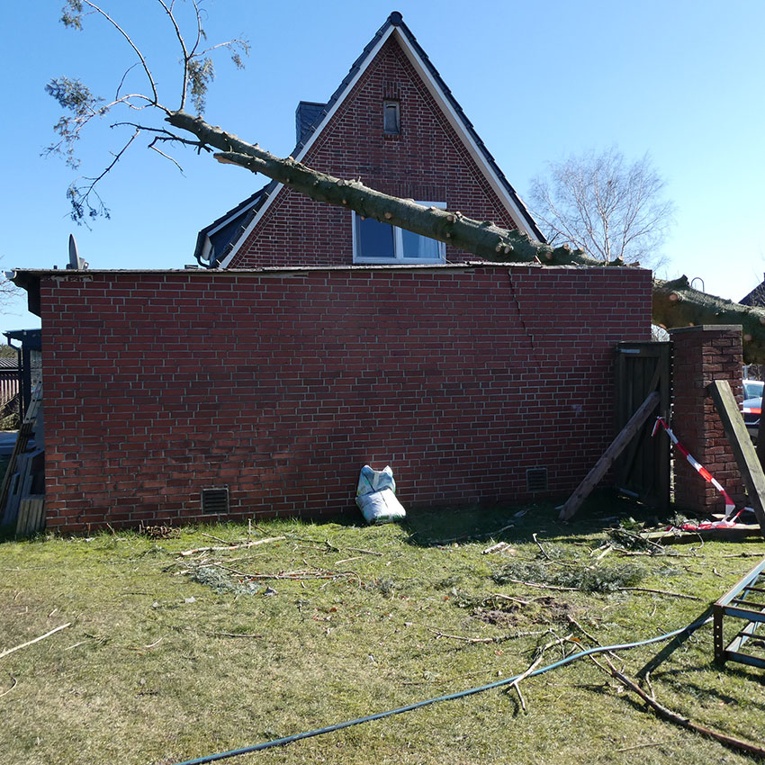 Sturmschäden 1