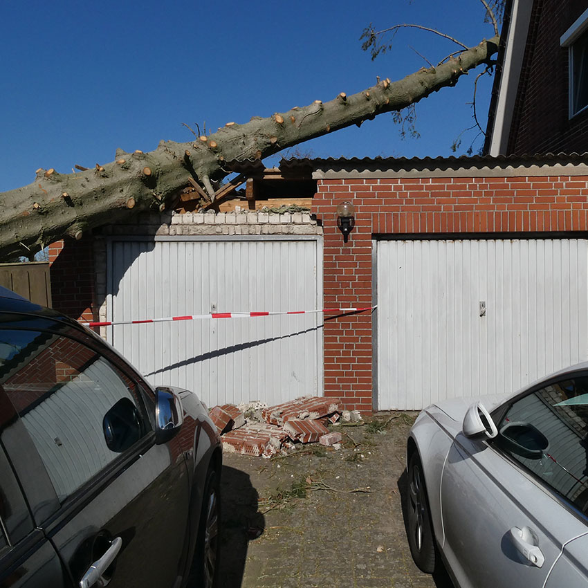 Sturmschäden 3