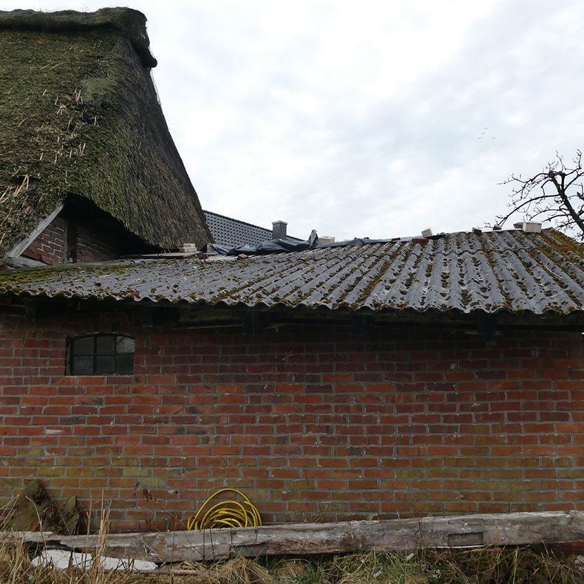 Sturmschäden 5
