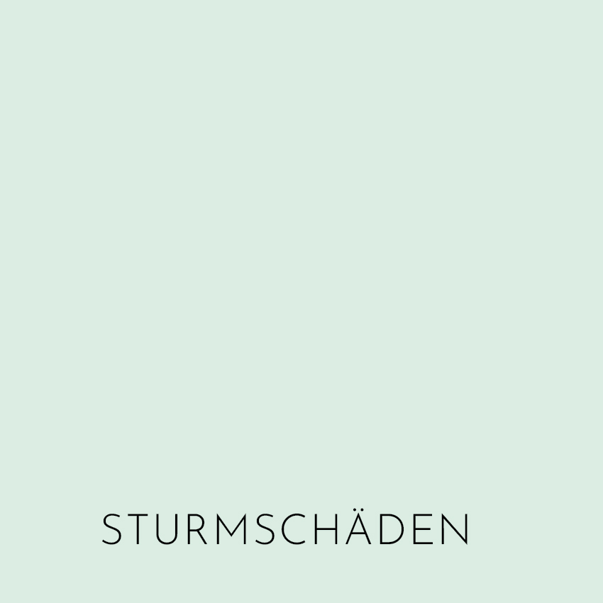 Sturmschäden